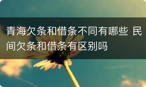 青海欠条和借条不同有哪些 民间欠条和借条有区别吗