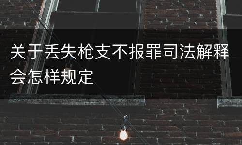 关于丢失枪支不报罪司法解释会怎样规定