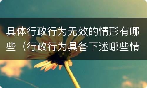 具体行政行为无效的情形有哪些（行政行为具备下述哪些情形即为无效）