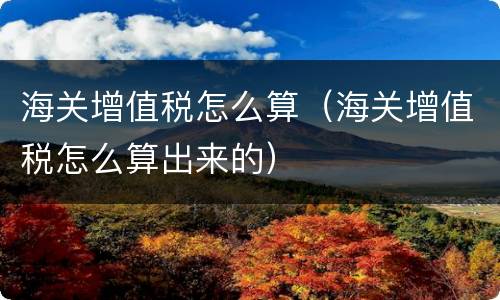 海关增值税怎么算（海关增值税怎么算出来的）