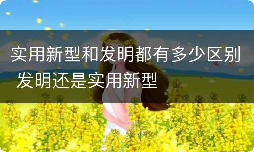 实用新型和发明都有多少区别 发明还是实用新型