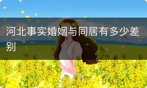 河北事实婚姻与同居有多少差别
