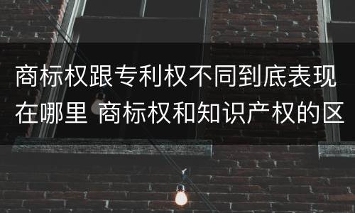 商标权跟专利权不同到底表现在哪里 商标权和知识产权的区别
