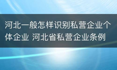 河北一般怎样识别私营企业个体企业 河北省私营企业条例