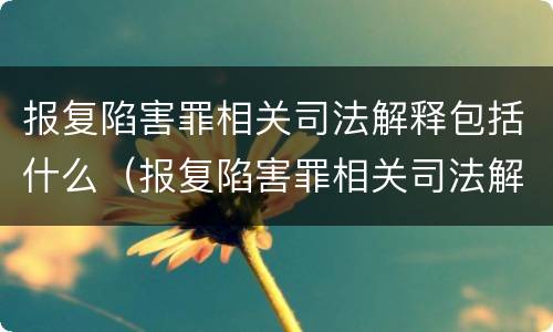 报复陷害罪相关司法解释包括什么（报复陷害罪相关司法解释包括什么案件）
