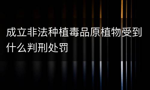 成立非法种植毒品原植物受到什么判刑处罚