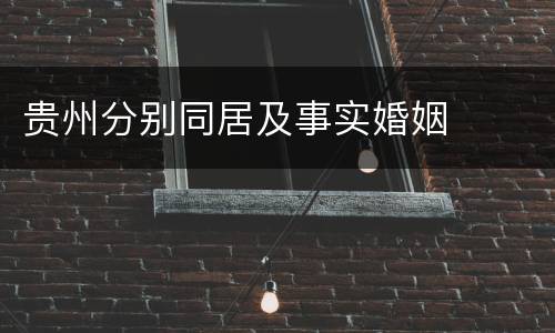 贵州分别同居及事实婚姻