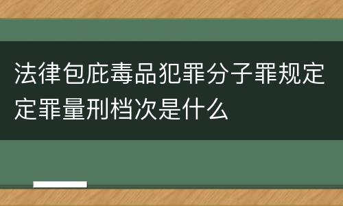 法律包庇毒品犯罪分子罪规定定罪量刑档次是什么