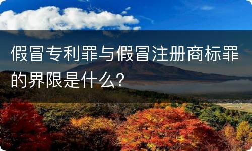 假冒专利罪与假冒注册商标罪的界限是什么？