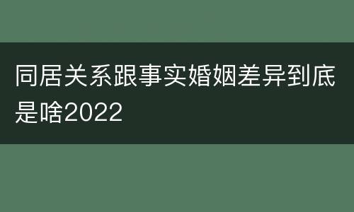 同居关系跟事实婚姻差异到底是啥2022