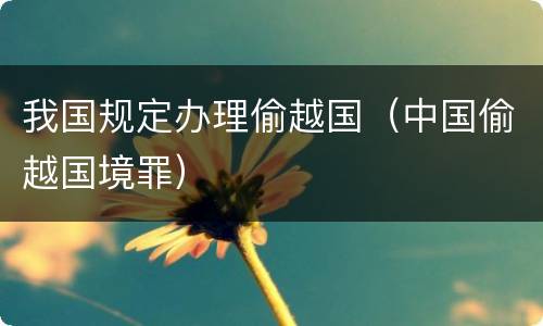 我国规定办理偷越国（中国偷越国境罪）