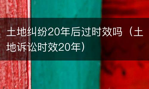 土地纠纷20年后过时效吗（土地诉讼时效20年）