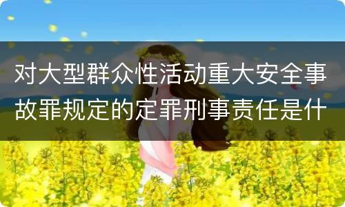 对大型群众性活动重大安全事故罪规定的定罪刑事责任是什么样的