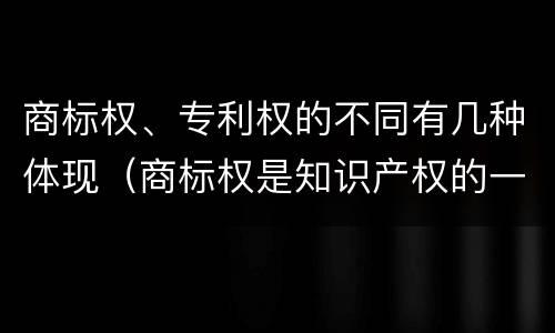 商标权、专利权的不同有几种体现（商标权是知识产权的一种吗）