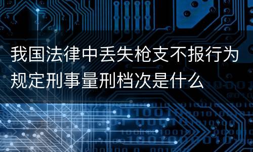 我国法律中丢失枪支不报行为规定刑事量刑档次是什么