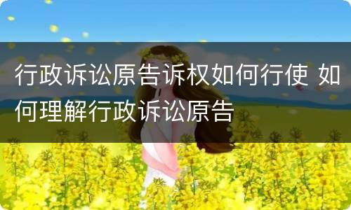 行政诉讼原告诉权如何行使 如何理解行政诉讼原告