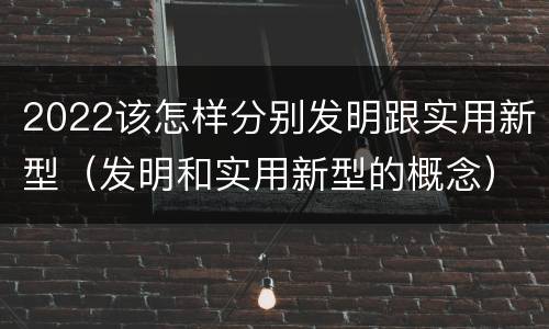 2022该怎样分别发明跟实用新型（发明和实用新型的概念）