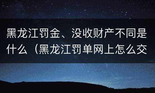 黑龙江罚金、没收财产不同是什么（黑龙江罚单网上怎么交）