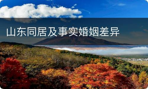 山东同居及事实婚姻差异