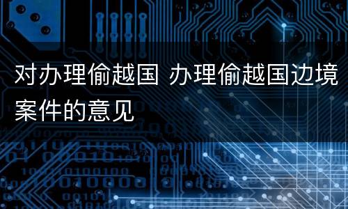 对办理偷越国 办理偷越国边境案件的意见