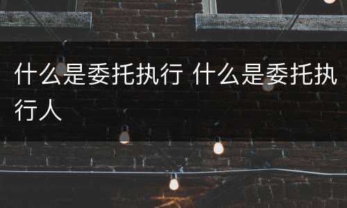 什么是委托执行 什么是委托执行人