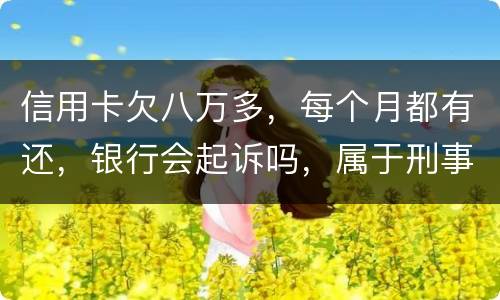 信用卡欠八万多，每个月都有还，银行会起诉吗，属于刑事还是民事