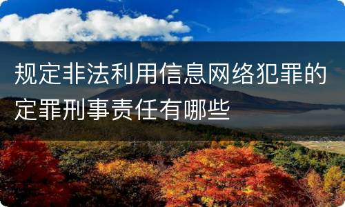 规定非法利用信息网络犯罪的定罪刑事责任有哪些