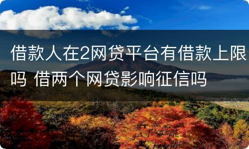 借款人在2网贷平台有借款上限吗 借两个网贷影响征信吗
