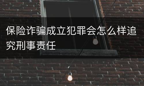 保险诈骗成立犯罪会怎么样追究刑事责任