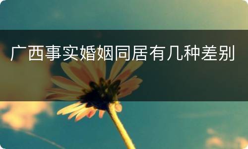 广西事实婚姻同居有几种差别