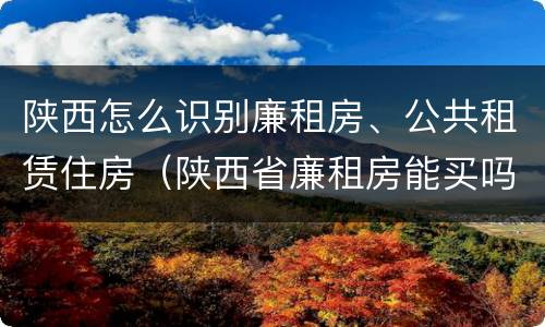 陕西怎么识别廉租房、公共租赁住房（陕西省廉租房能买吗）