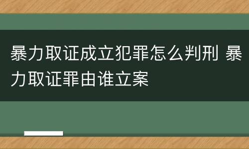 暴力取证成立犯罪怎么判刑 暴力取证罪由谁立案