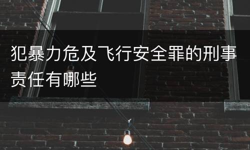 犯暴力危及飞行安全罪的刑事责任有哪些