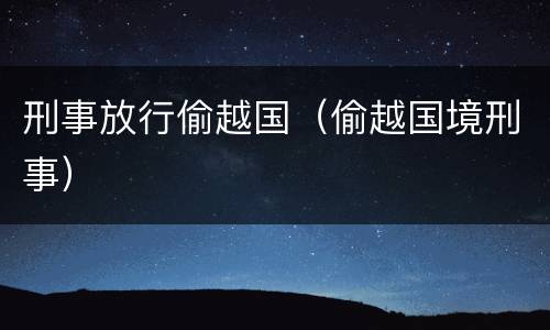 刑事放行偷越国（偷越国境刑事）