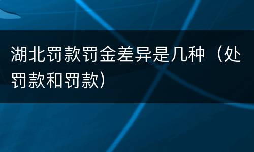 湖北罚款罚金差异是几种（处罚款和罚款）