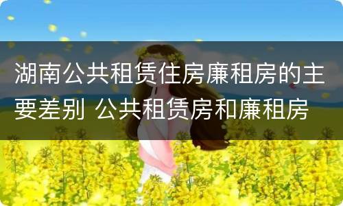 湖南公共租赁住房廉租房的主要差别 公共租赁房和廉租房