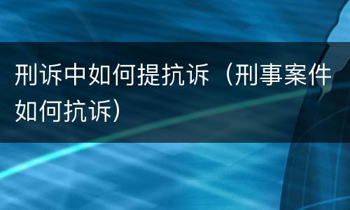 刑诉中如何提抗诉（刑事案件如何抗诉）