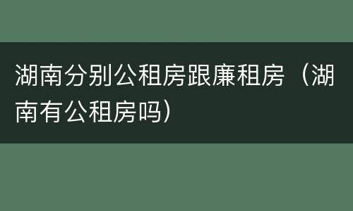 湖南分别公租房跟廉租房（湖南有公租房吗）