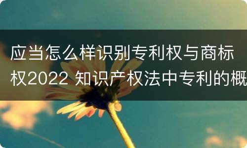应当怎么样识别专利权与商标权2022 知识产权法中专利的概念