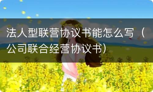 法人型联营协议书能怎么写（公司联合经营协议书）