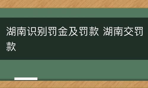 湖南识别罚金及罚款 湖南交罚款