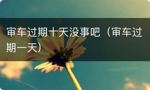 审车过期十天没事吧（审车过期一天）