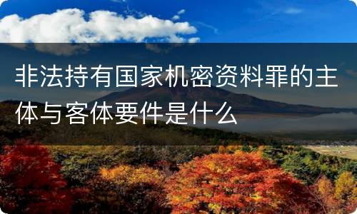 非法持有国家机密资料罪的主体与客体要件是什么