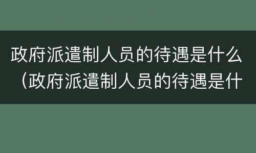 政府派遣制人员的待遇是什么（政府派遣制人员的待遇是什么意思）