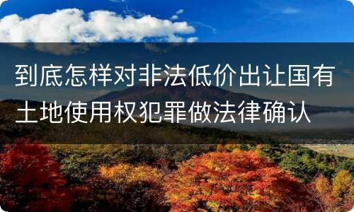 到底怎样对非法低价出让国有土地使用权犯罪做法律确认
