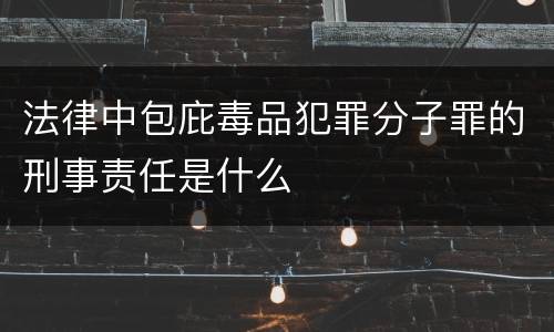 法律中包庇毒品犯罪分子罪的刑事责任是什么