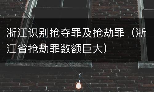浙江识别抢夺罪及抢劫罪（浙江省抢劫罪数额巨大）