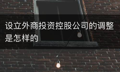 设立外商投资控股公司的调整是怎样的