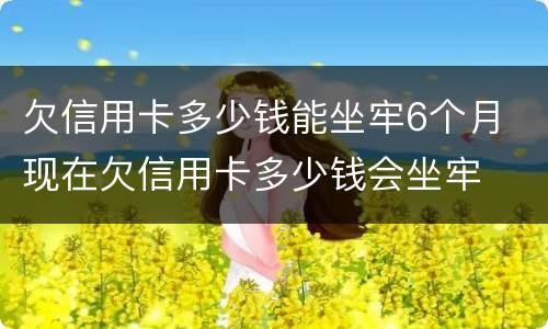 欠信用卡多少钱能坐牢6个月 现在欠信用卡多少钱会坐牢