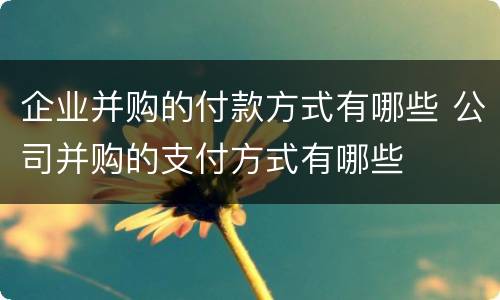 企业并购的付款方式有哪些 公司并购的支付方式有哪些